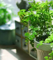 湛江专属于你的开运指南，助你鸿运当头福满身！